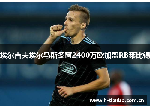 埃尔吉夫埃尔马斯冬窗2400万欧加盟RB莱比锡